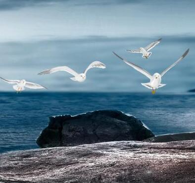 是有效的加深人们对自己的了解